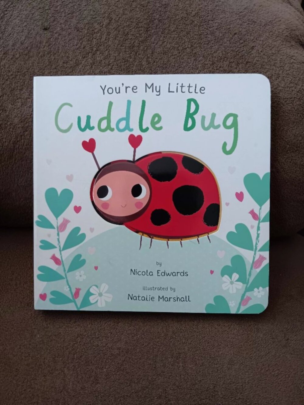 children's story book